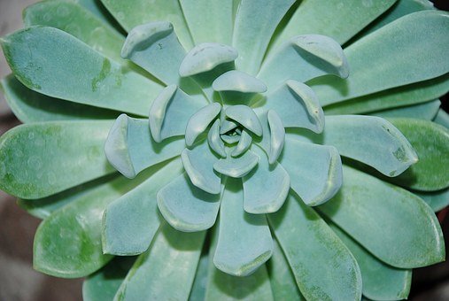 2011߿(f)(x)ָ(do)ԡ