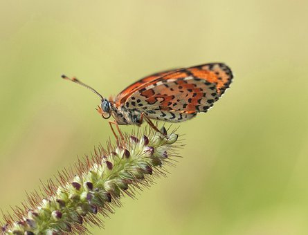 �ҵļҽ̽��v�c�ɹ�