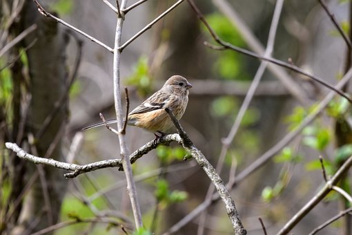 ���ЌW�������ࣺ��һ�NŬ�������������b��Ŭ����