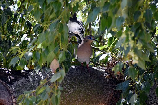 ���⺢�ӣ��W���ȴ����o�����D׃�ĕr�g