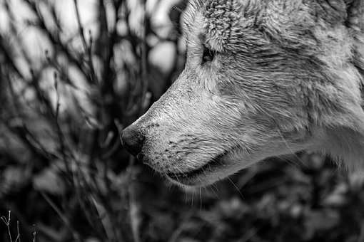 С�W(xu��)���꼉�Z���σԏ�(f��)��(x��)Ӌ(j��)��ƪ