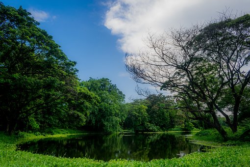 如何幫助初中生重新愛上學習