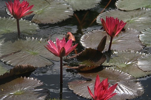 ��������Ч�W����������Щ