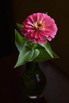 如何成為一名優(yōu)秀的家教