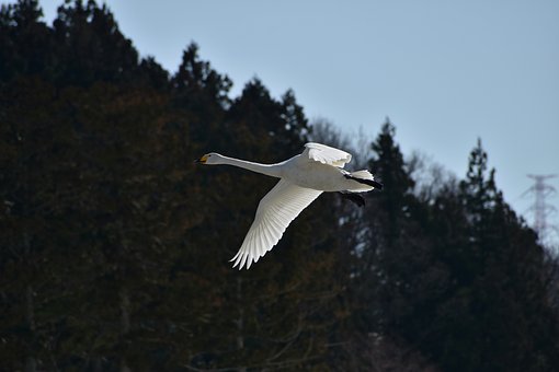 ӡ���·���P(gu��n)Ӣ�Z�~�R