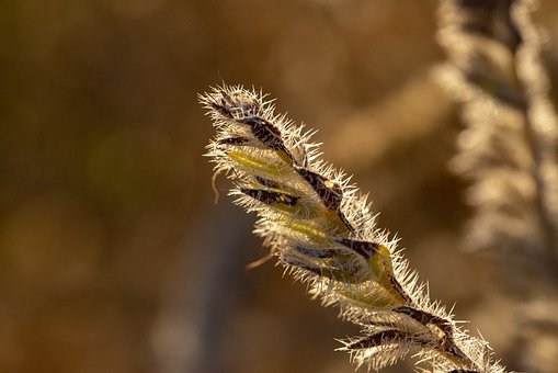 做一個優(yōu)秀的大學(xué)生家教,需要注意哪些事項?