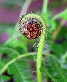 臺(tái)灣學(xué)生“閉眼”也能上大學(xué) 總分10分就可申請(qǐng)