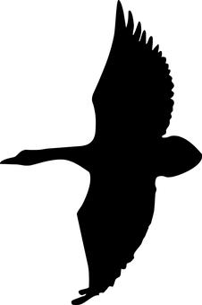 2008�꿼�оW�ψ���֮ǰ��ʮ��ע�����