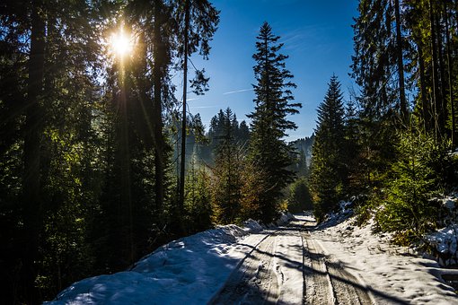 ��������늌W�W��������ȫ����