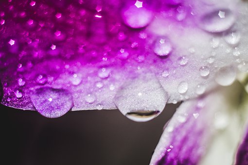 ӿ˷ΑϰaĽ