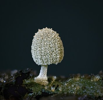 家長在孩子學習成績不好中的責任