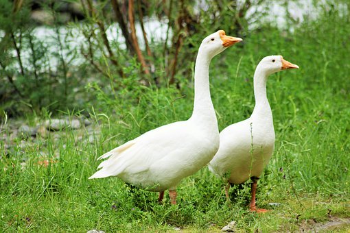 ��������ƫ��ȫ��18��߿����I�P�c