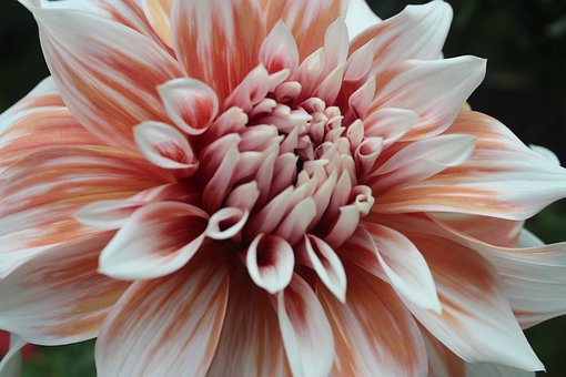 ���Α�ĺ���߀�оȆ�