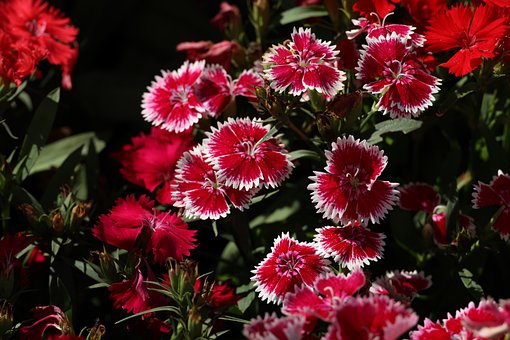 ���Д�(sh��)�W(xu��)�ļ��񵽝M�֣�һλ�Y���ώ����ĸC�ӵ�����ؼ�