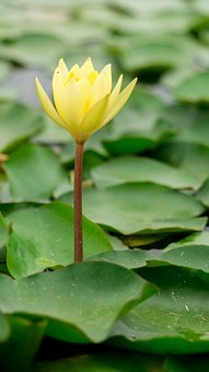 ���з��ƽ�������(21)