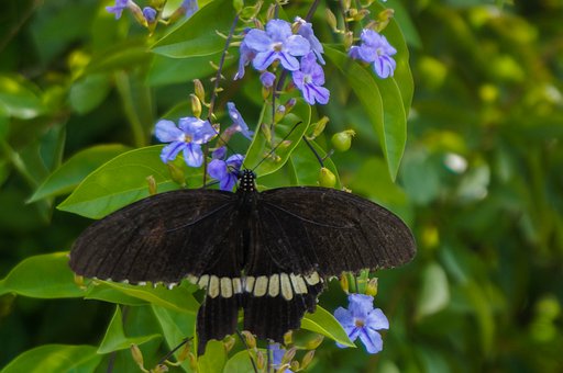 ώȤζWӢZ֮ƌWСɌWӢ