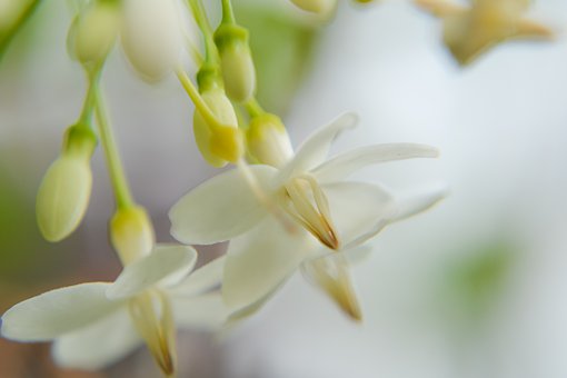 ��Ԋ�W�����e׌��ӛӲ�����˺��ӵ��`��