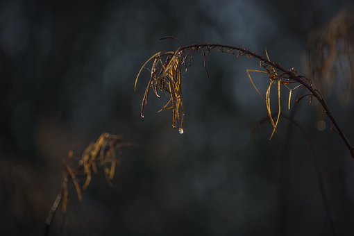 高中孩子早戀如何教育