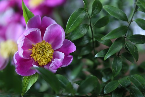 孩子總是亂花錢怎么教育