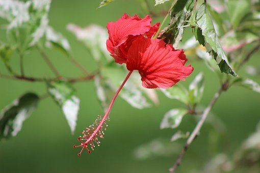 小學(xué)生上課容易發(fā)呆走神怎么辦