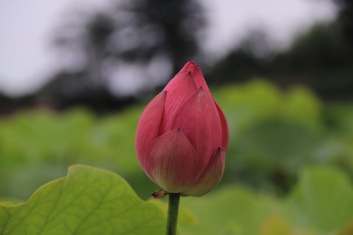 小孩子沒禮貌怎么教育
