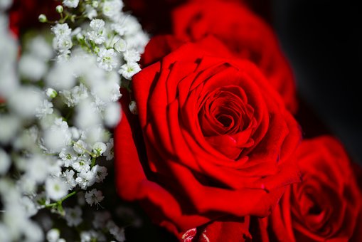 ���Z���и���6��5��������ELI�¿���