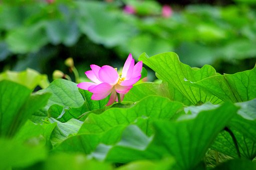孩子發脾氣鎖門怎么處理