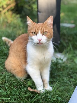 別再逼孩子背公式了,這才是小學(xué)數(shù)學(xué)“平均分”的底層邏輯