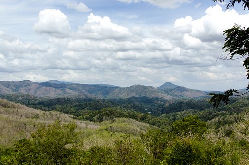 高三失眠怎么辦?快試試這些減壓奇招