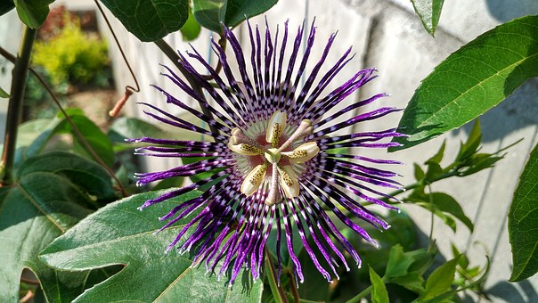 ���L���x�����и����H���Pϵ