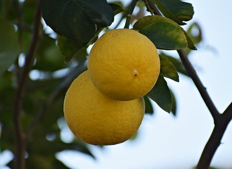 孩子家庭心理健康教育情況