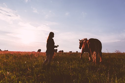 孩子沉迷游戲:如何解決游戲裝備購買的問題