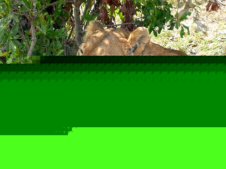 數(shù)學教育概論學習計劃:系統(tǒng)掌握數(shù)學教育的核心要點