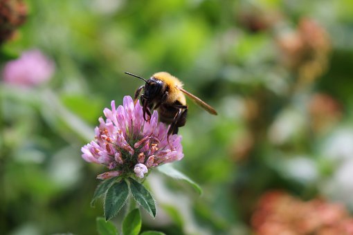 ������С�W���꼉���Z�ġ��Z�Ĉ@��һ���̌W�OӋƪ