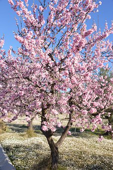 解決初中學習困難的有效方法