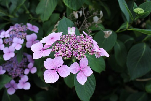 �߿���݆ģ�M��ԇ�����ڷ�?j��n)?sh��)����ď�(f��)��(x��)�ܴa�������(sh��)�˶����e��