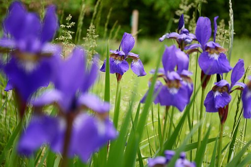 ���L��Ύ������ӌW��Ӣ�Z