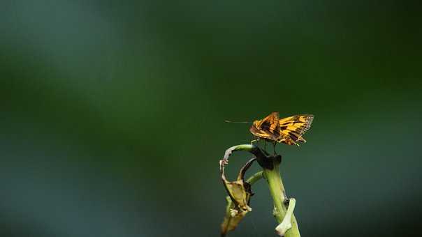 愛發(fā)脾氣的孩子怎么教育