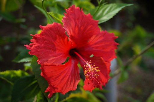 ���I����Ī�ļ�