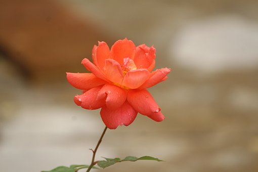 兒子初三天天打游戲怎么辦
