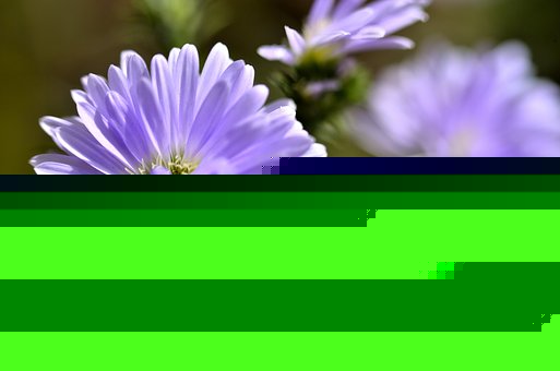 СӞʲôϲgfe