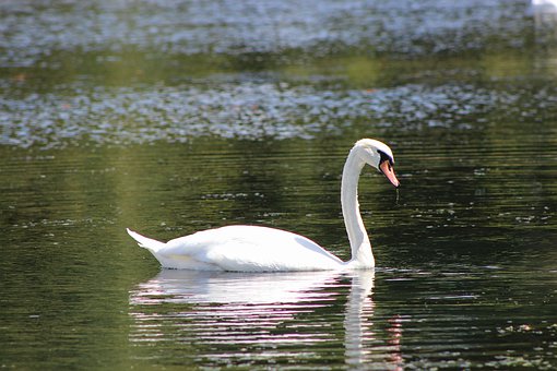 �����п���8��4����5���a�