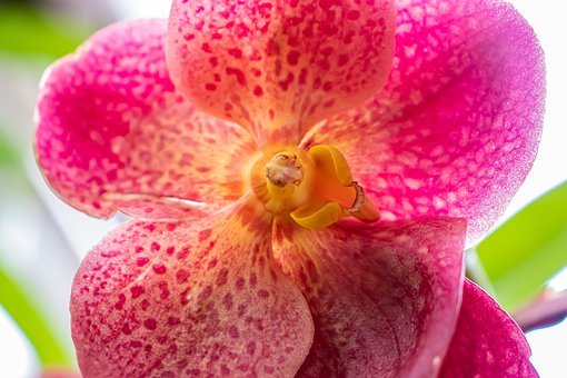 С�W�Z�Ć�Ԫ���Yƪ