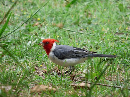 孩子不愛上學厭學怎么辦