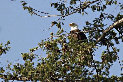 ���ӱ����@ƪ���E�����ĳɿ������������P�I�����@������