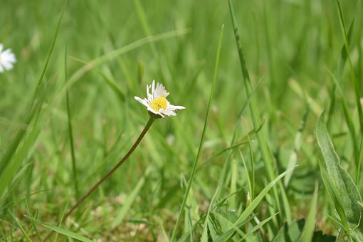 2013�����ҽ���Ӗ�ИI�F���{��