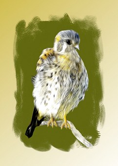 zW(xu)ǳɹx