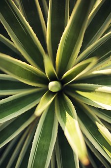 易教網(wǎng)金牌教師:高考英語答題時間安排與技巧