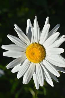 ӵąW