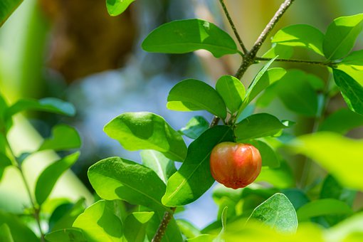 ������2006����ͨ�ߵȌWУˇ�g��I�����k